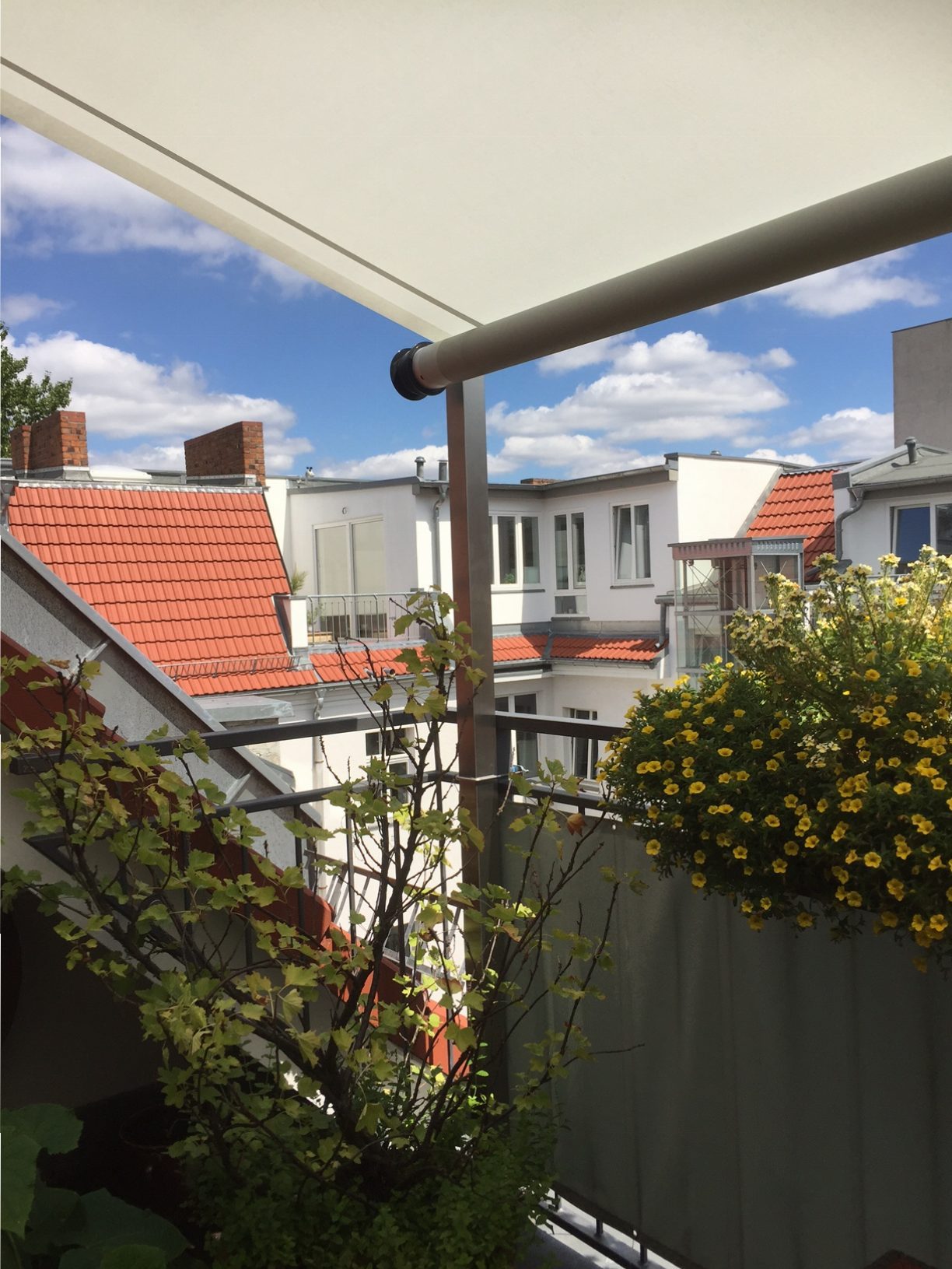 Twister Segel in Berlin-Prenzlauer Allee